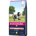 Eukanuba Senior Medium kylling hundefoder