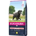 Eukanuba Senior Large kylling hundefoder