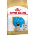 Royal Canin Puppy Mops hundefoder
