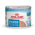 Royal Canin Starter Mother & Babydog Ultra Soft Mousse - 48 x 195 g