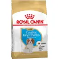 Royal Canin Økonomipakke - Royal Canin hundetørfoder - Cavalier King Charles Puppy (3 x 1,5 kg)