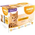 IAMS Delights Kitten med kylling (i sauce) vådfoder til katte (12 x 85g)