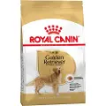 Royal Canin Golden Retriever Adult - Økonomipakke: 2 x 12 kg