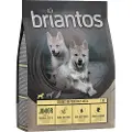 Briantos Junior Kylling & Kartoffel - kornfri - 4 x 1 kg