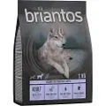 Briantos Adult And & Kartroffel - kornfri - 4 x 1 kg