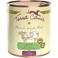 Terra canis Økonomipakke: 12 x 800 g Terra Canis hundefoder - Okse med gulerødder, æbler & naturris