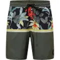 Quiksilver Division 17 Nb Badeshorts