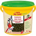 Sera Koi Color large granulat - Økonomipakke: 2 x 3,8 liter