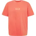Wrangler Logo T-shirt Med Korte ærmer