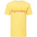 Superdry Vintage Cali Stripe T-shirt