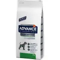 Affinity Advance Vet Canine Urinary Low Purine 12kg Hundefoder