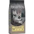 Briantos Junior Kylling & Kartoffel - kornfri - Økonomipakke: 2 x 12 kg