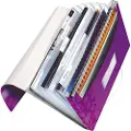 Leitz Projektmappe WOW PP lilla 45890062 Modsvarer: N/A