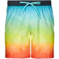 Quiksilver Faded Logo 17 Badeshorts