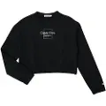 Calvin Klein Jeans Sweatshirts Calvin Klein Jeans METALLIC BOX LOGO SWEATSHIRT barn 10 år