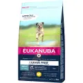 Eukanuba Grain Free Adult Small / Medium Breed Kylling - 2 x 3 kg