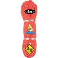 BEAL Joker Golden Dry 9.1 Mm Reb