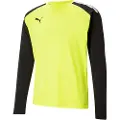 Puma Teampacer T-shirt Med Lange ærmer