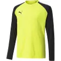 Puma Sweatshirts Puma Teampacer Gk barn EU M