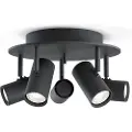 BELID - 5-spot Tyson - Sort - Spotlights - - Homeroom