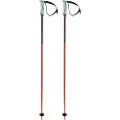 Völkl Phantastick 16 Mm Spadserestokke