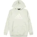 Adidas Future Icons Badge Of Sport Hættetrøje