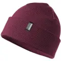 Atomic Alps Rolled Beanie