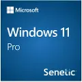 Microsoft Windows 11 Professional 64-bit Dvd En