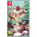 Nintendo Potion Permit