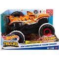 Hot Wheels Monster Trucks Radio Control Køretøj