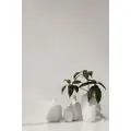 Blomus - Vase Ceola 18 cm - Hvid - Urtepotteskjulere & vaser - - Homeroom