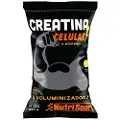 Nutrisport Cellular Kreatinpulver Citrus 500g