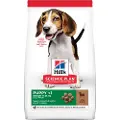 Hill's Pet Nutrition Puppy Medium lam & ris hundefoder