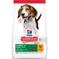 Hills Science Plan Puppy