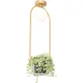 QAZQA Art Deco loftslampe guld med hvidt glas - Isabella