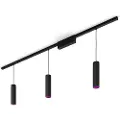 Signify Hue Perifo Loft Pendel - 3 Cylinders - Sort