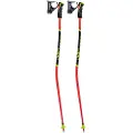 LEKI Wcr Lite Gs 3d Spadserestokke