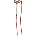 LEKI Wcr Gs 3d Spadserestokke
