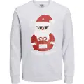 Jack & Jones Jortoon Sweatshirt