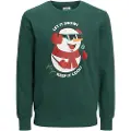 Jack & Jones Jortoon Sweatshirt