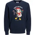 Jack & Jones Jortoon Sweatshirt