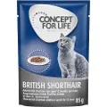 Concept for Life British Shorthair Adult - FORBEDRET OPSKRIFT! - Supplement: 12 x 85 g Concept for Life British Shorthair