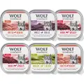 Wolf of Wilderness Økonomipakke: 24 x 300 g Wolf of Wilderness Adult - Great Desert - Kalkun