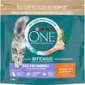 Purina One Coat & Hairball - Økonomipakke: 6 x 1,4 kg