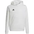 Adidas Entrada 22 Hættetrøje