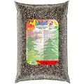 Lillebro Solsikkefrø - Økonomipakke: 2 x 10 kg