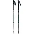 Masters Skitour Pro Spadserestokke