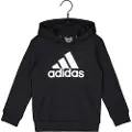 Adidas Essentials Hættetrøje