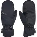 Roxy Gore-Tex Fizz Vanter sort