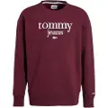Tommy Hilfiger Dm0dm15029 Sweatshirt